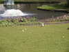 20070409091728-PICT5268.JPG