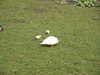 20070409092208-PICT5272.JPG