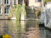 20070409093638-PICT5279.JPG