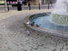 Image011.jpg