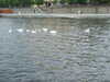 20070525170525-2007_0528Prague0039.JPG