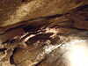 20070608125205-DSCF0394.JPG