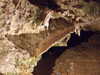 20070608125226-DSCF0395.JPG
