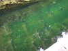 20070608130044-DSCF0399.JPG