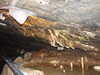 20070608145007-DSCF0410.JPG