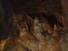20070608145656-DSCF0424.JPG