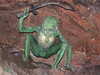 20070608160218-DSCF0441.JPG