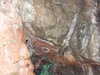 20070608160230-DSCF0442.JPG