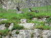 20070608173422-DSCF0458.JPG
