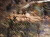 PICT5478.JPG