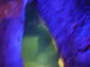 PICT5479.JPG