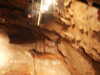 PICT5494.JPG