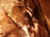 PICT5496.JPG