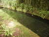 PICT5499.JPG