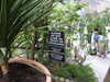 PICT5514.JPG