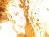 PICT5532.JPG