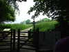 20070609135054-DSCF0504.JPG