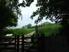 20070609135058-DSCF0505.JPG
