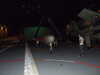 20070610144942-DSCF0561.JPG