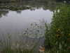 PICT5629.JPG