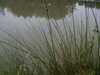 PICT5632.JPG