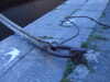 20070714223506-DSCF0623.JPG