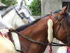 20070715171705-DSCF0765.JPG