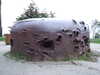 20070715220836-DSCF0833.JPG