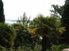 PICT5770.JPG