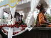 PICT5791.JPG