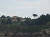 PICT5861.JPG