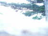 PICT5879.JPG