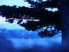 PICT5881.JPG