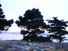 PICT5886.JPG