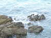 20070716202419-DSCF0873.JPG