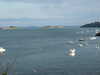 20070716202642-DSCF0876.JPG