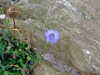 20070716203618-DSCF0889.JPG