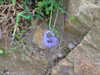 20070716203636-DSCF0891.JPG