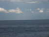 PICT5896.JPG