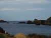 PICT5898.JPG