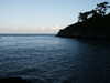 20070717211220-PICT5966.JPG