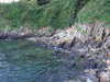 20070717211656-DSCF0931.JPG