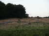20070718213402-PICT5989.JPG