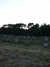 20070718214111-PICT5996.JPG