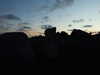 20070718220238-DSCF0979.JPG