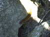 20070721135904-DSCF1038.JPG