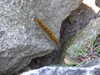 20070721135932-DSCF1040.JPG