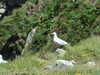 20070721140528-DSCF1044.JPG