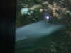 20070722100040-DSCF1060.JPG