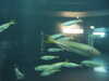20070722100252-PICT6086.JPG